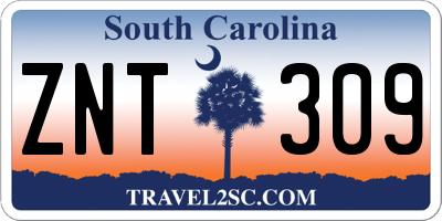 SC license plate ZNT309