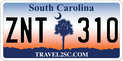 SC license plate ZNT310