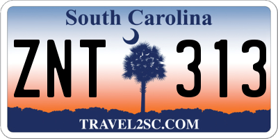 SC license plate ZNT313