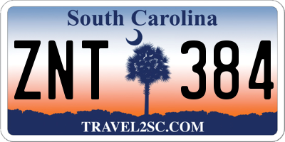 SC license plate ZNT384