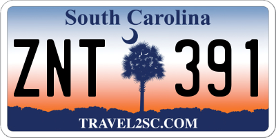 SC license plate ZNT391