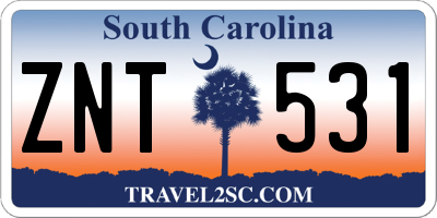 SC license plate ZNT531