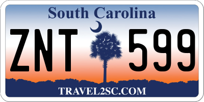 SC license plate ZNT599