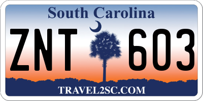 SC license plate ZNT603