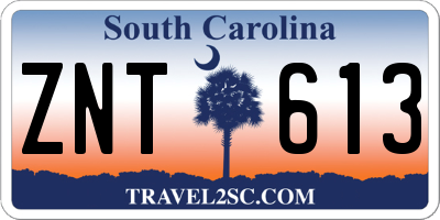 SC license plate ZNT613