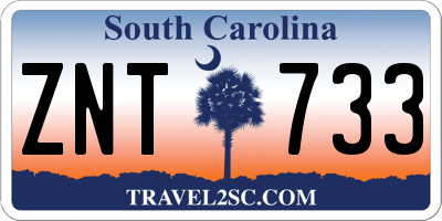 SC license plate ZNT733