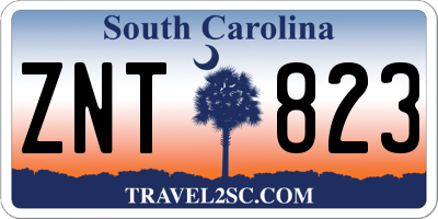 SC license plate ZNT823