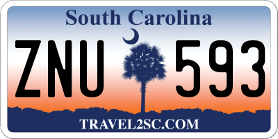 SC license plate ZNU593