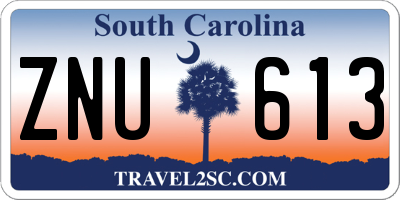 SC license plate ZNU613