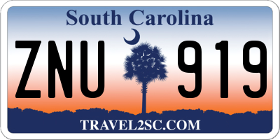 SC license plate ZNU919