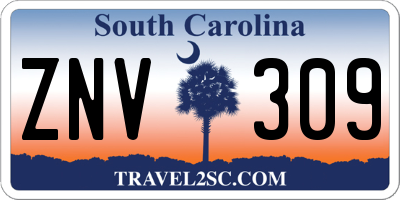 SC license plate ZNV309