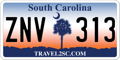 SC license plate ZNV313