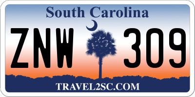 SC license plate ZNW309