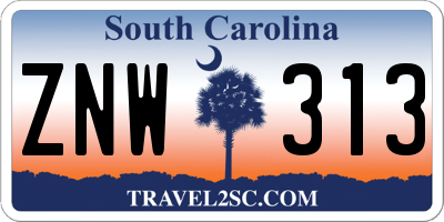 SC license plate ZNW313