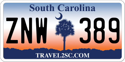 SC license plate ZNW389