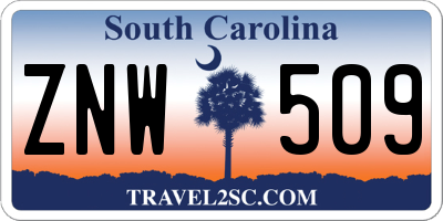 SC license plate ZNW509