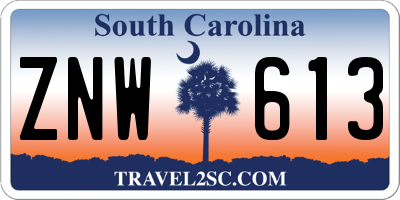 SC license plate ZNW613