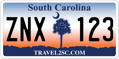 SC license plate ZNX123