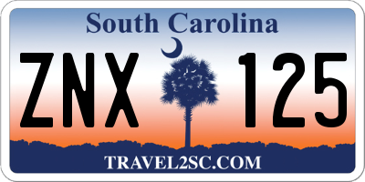 SC license plate ZNX125