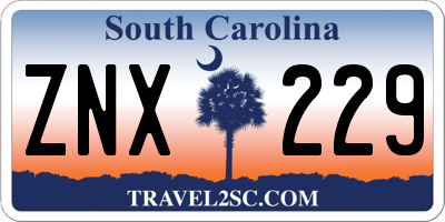 SC license plate ZNX229