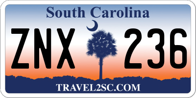 SC license plate ZNX236