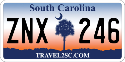 SC license plate ZNX246
