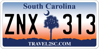 SC license plate ZNX313