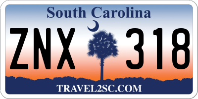 SC license plate ZNX318