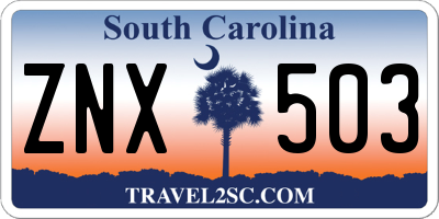 SC license plate ZNX503