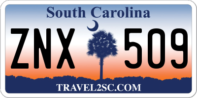 SC license plate ZNX509