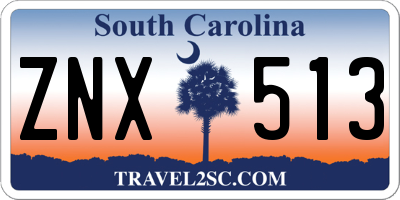 SC license plate ZNX513