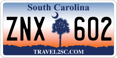 SC license plate ZNX602