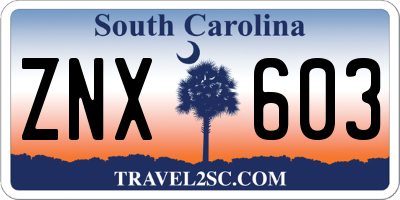 SC license plate ZNX603