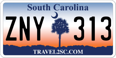 SC license plate ZNY313