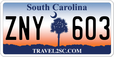 SC license plate ZNY603