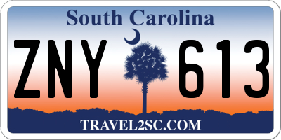 SC license plate ZNY613