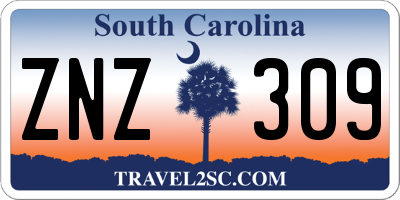 SC license plate ZNZ309