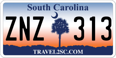 SC license plate ZNZ313