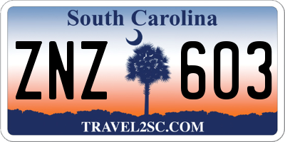 SC license plate ZNZ603