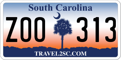 SC license plate ZOO313