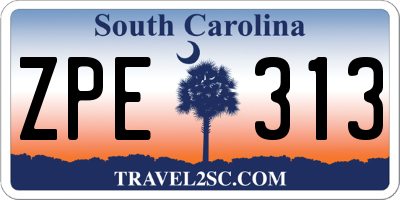 SC license plate ZPE313