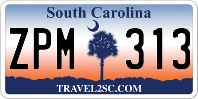 SC license plate ZPM313