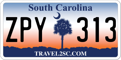 SC license plate ZPY313