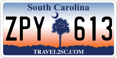 SC license plate ZPY613
