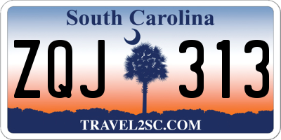 SC license plate ZQJ313