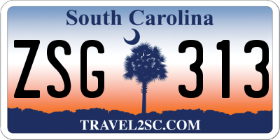 SC license plate ZSG313