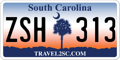 SC license plate ZSH313