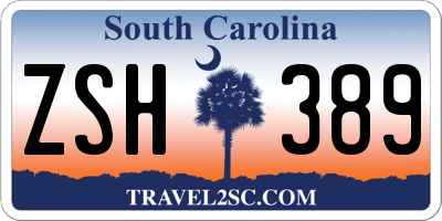 SC license plate ZSH389