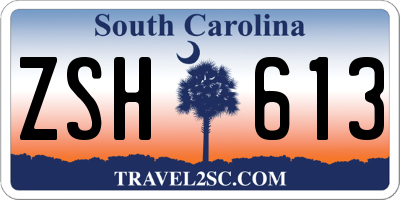 SC license plate ZSH613