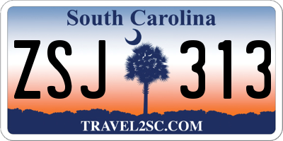 SC license plate ZSJ313